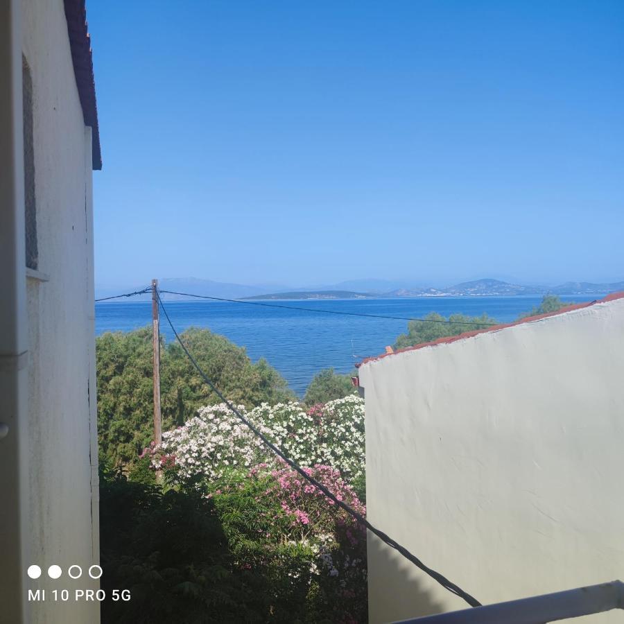'Αγριοι Λιμένες Apartment Iria Bagian luar foto