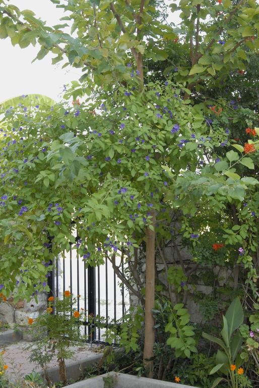 'Αγριοι Λιμένες Apartment Iria Bagian luar foto